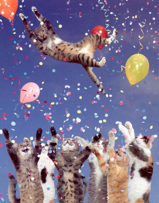 party
