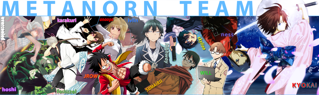 Metanorn Team 2014